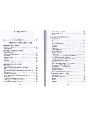 Брюсов В. Стихотворения и поэмы
